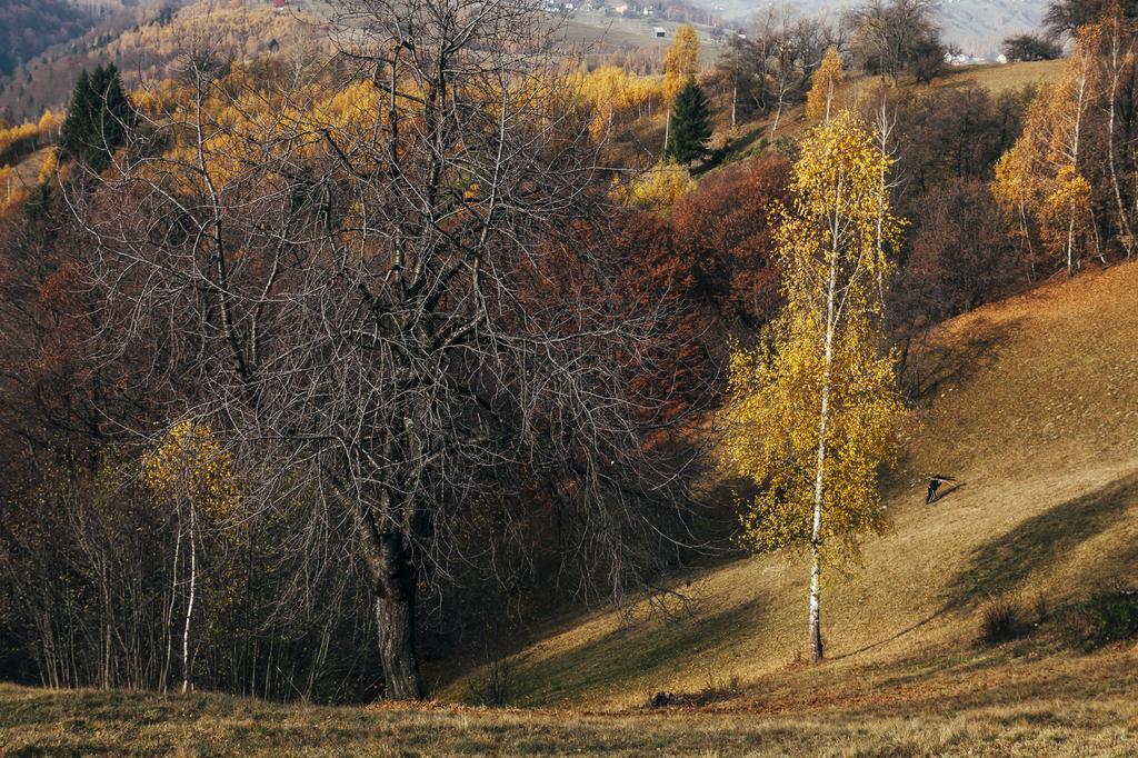 Drumul Carului Villa Moieciu de Jos Buitenkant foto