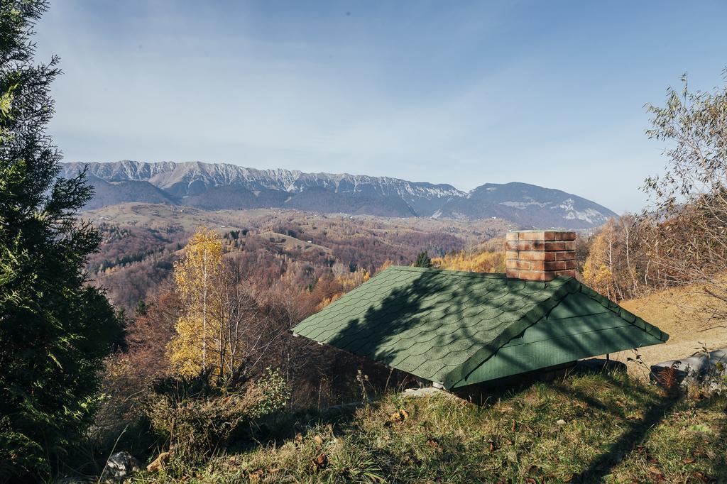 Drumul Carului Villa Moieciu de Jos Kamer foto