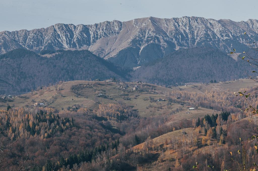Drumul Carului Villa Moieciu de Jos Kamer foto