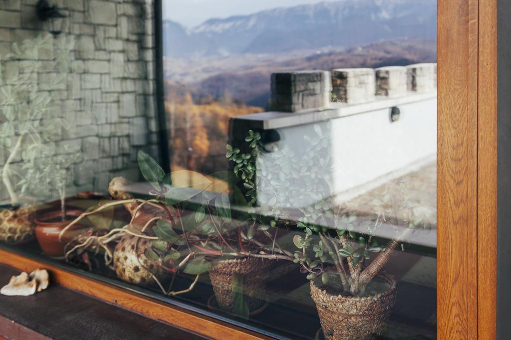 Drumul Carului Villa Moieciu de Jos Buitenkant foto