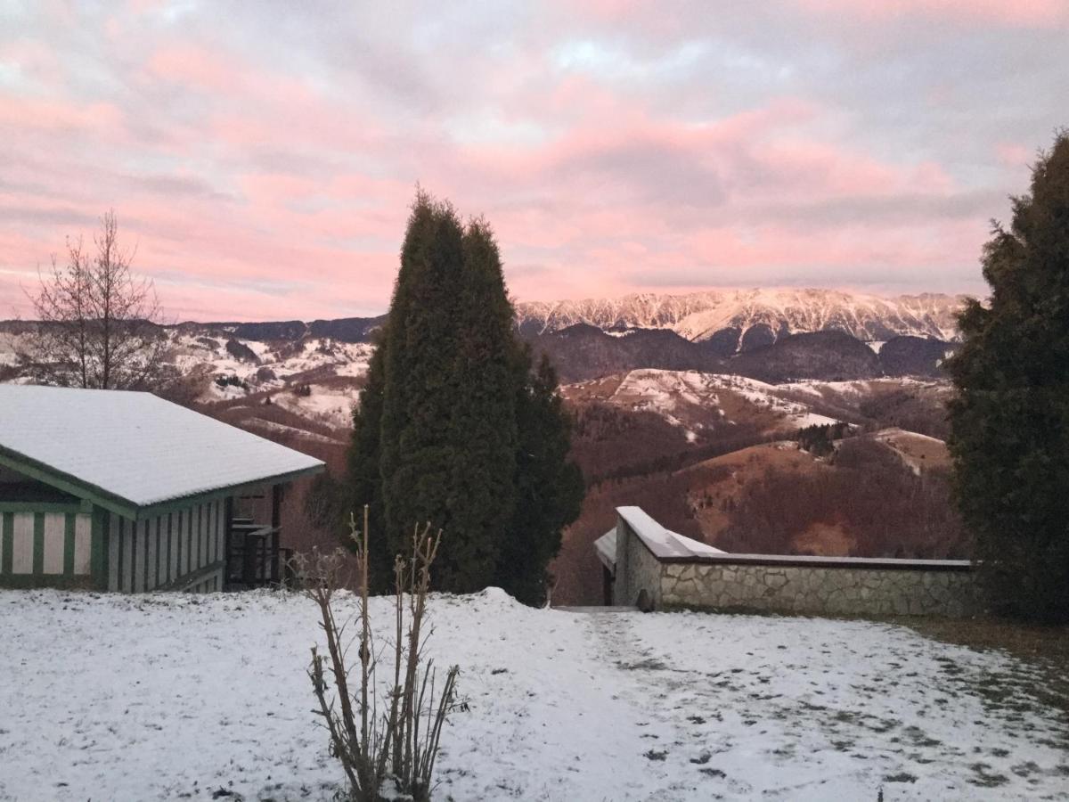 Drumul Carului Villa Moieciu de Jos Buitenkant foto