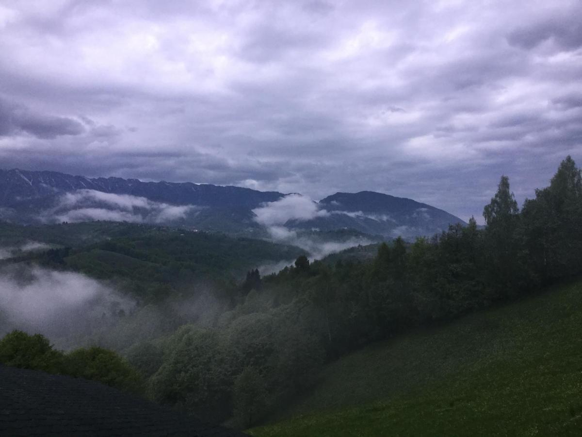 Drumul Carului Villa Moieciu de Jos Buitenkant foto